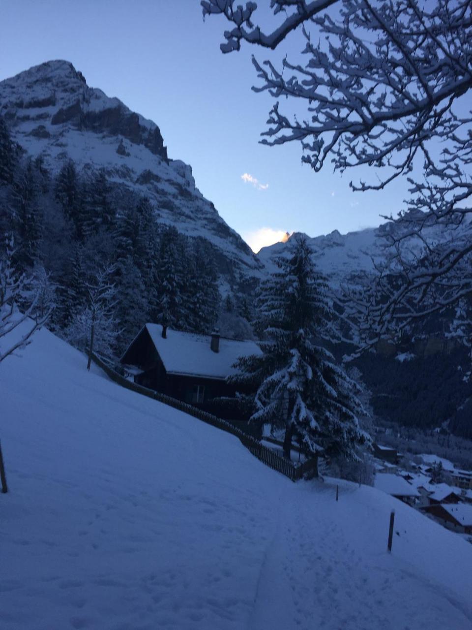 Chalet Gruenegg Grindelwald Luaran gambar