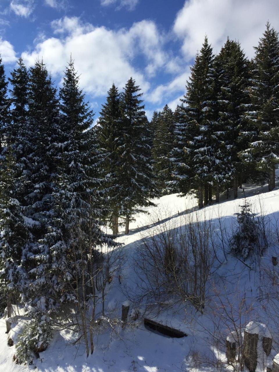 Chalet Gruenegg Grindelwald Luaran gambar