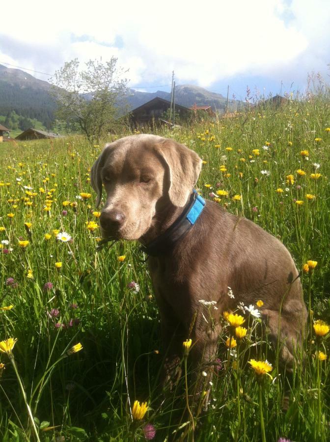 Chalet Gruenegg Grindelwald Luaran gambar